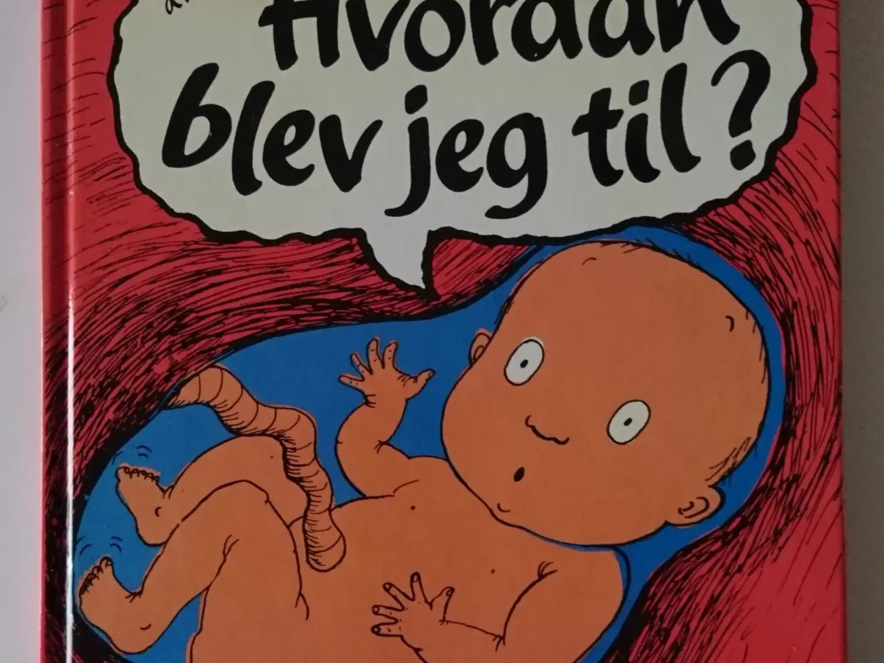 Billede 1 - Hvordan blev jeg til? Af Mick Manning