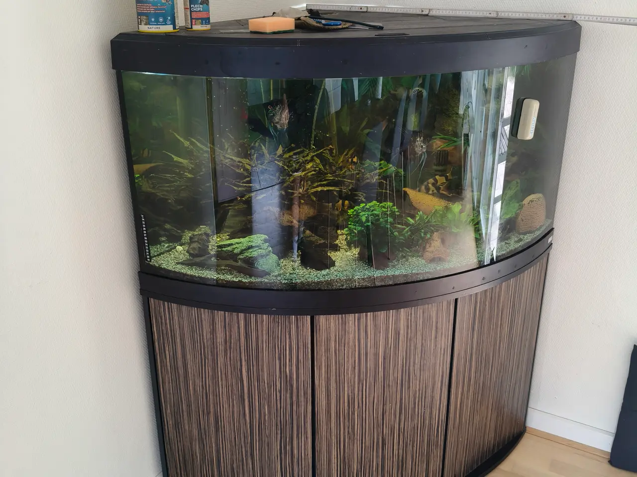 Billede 5 - Akvarie