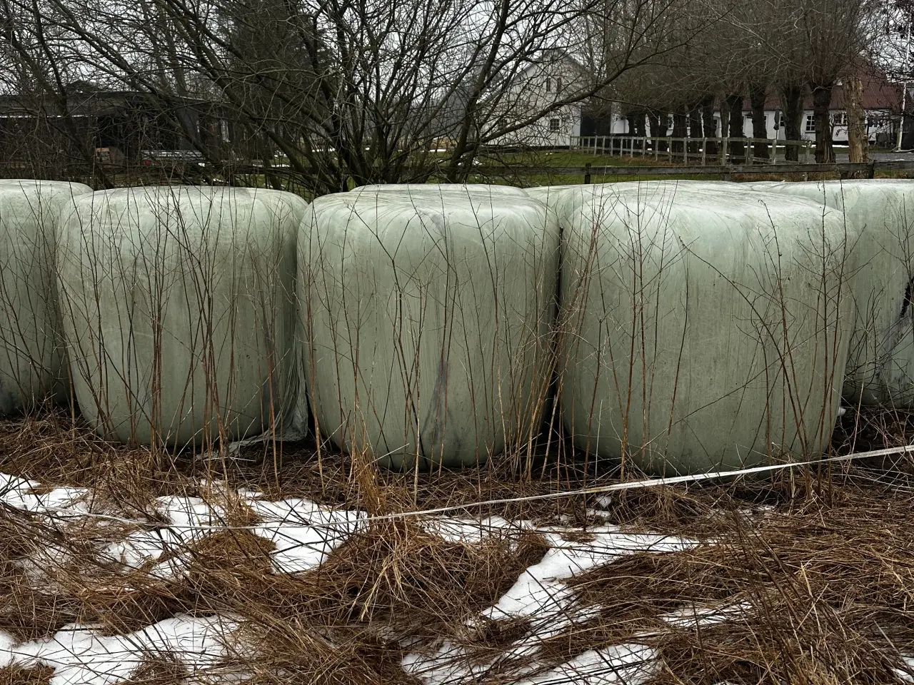 Billede 3 - Wrap hø. Slået og pakket slut juni 2024.Ø 130 cm