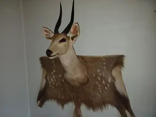 Skuldermonteret buschbuck med backskin