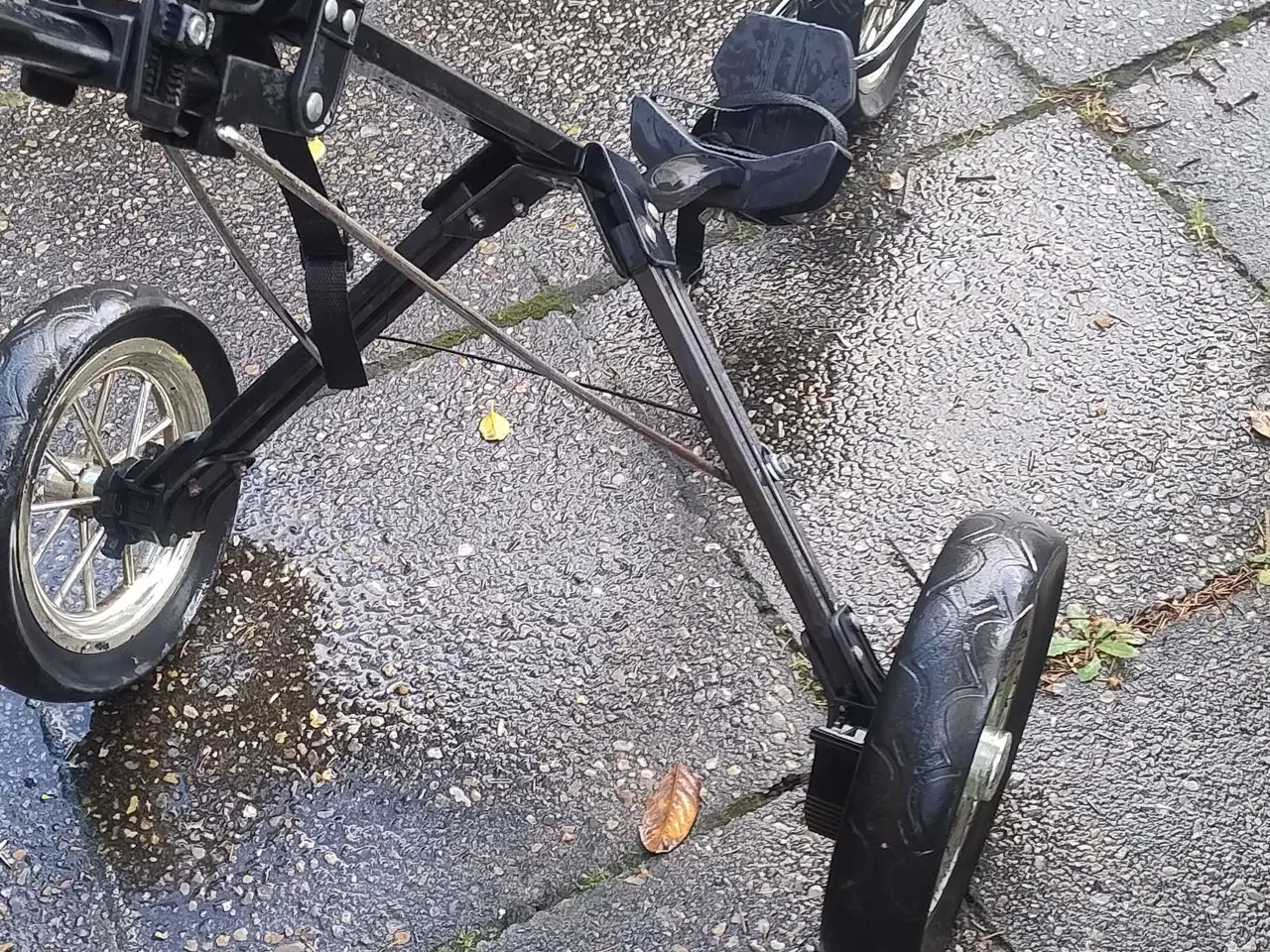 Billede 1 - Golfvogn til voksen