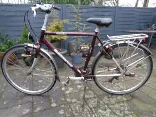 Batavus