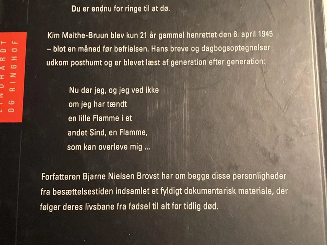 Billede 2 - For ung til at dø
