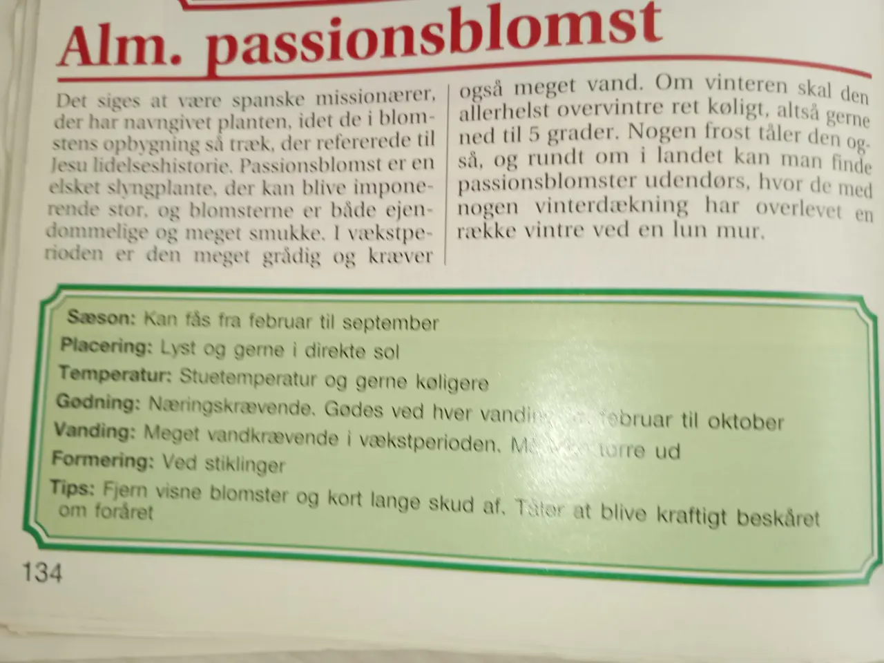 Billede 5 - Den store bog om stueplanter 