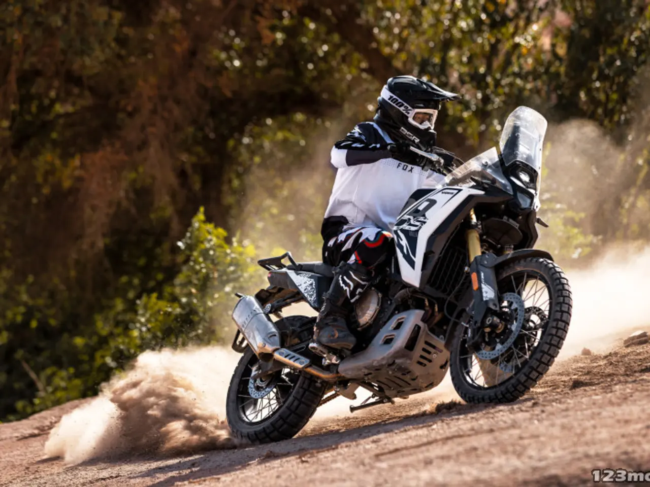 Billede 15 - Voge DS 800 Rally