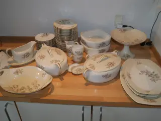 Ældre spisestel