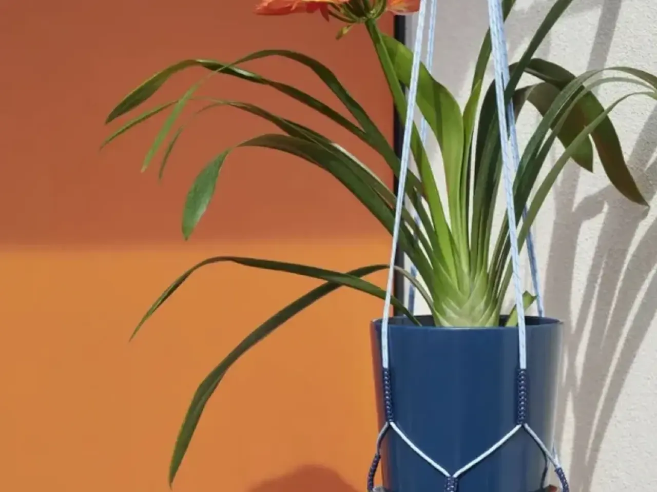 Billede 6 - Hay planteholder sort