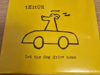 Teitur - Let The Dog Drive Home