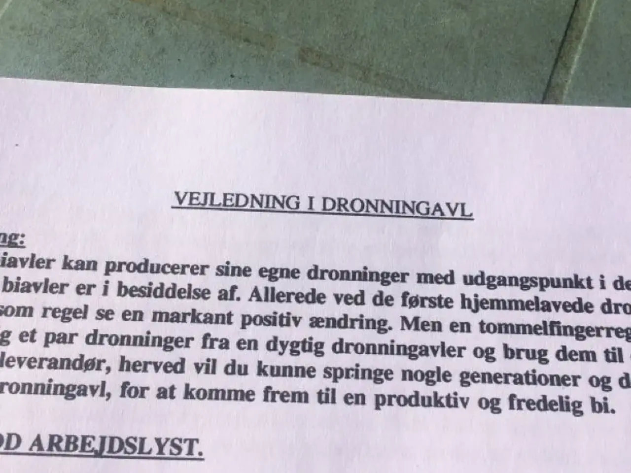 Billede 1 - Bier. Vejledning i Dronningavl