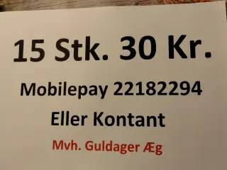Friske land æg