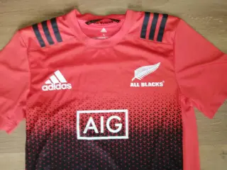 NEW ZEALAND 2017-18, RUGBY, STR. S, SOM NY