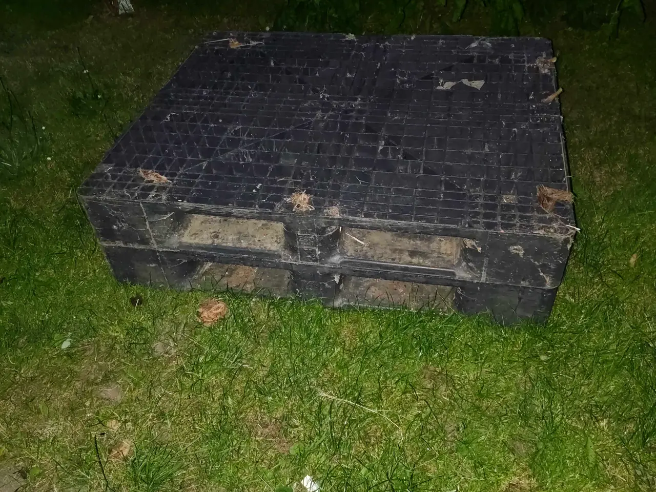 Billede 3 - Plastikpaller - 100x120 cm - 2 stk. 