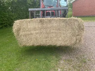 Hø