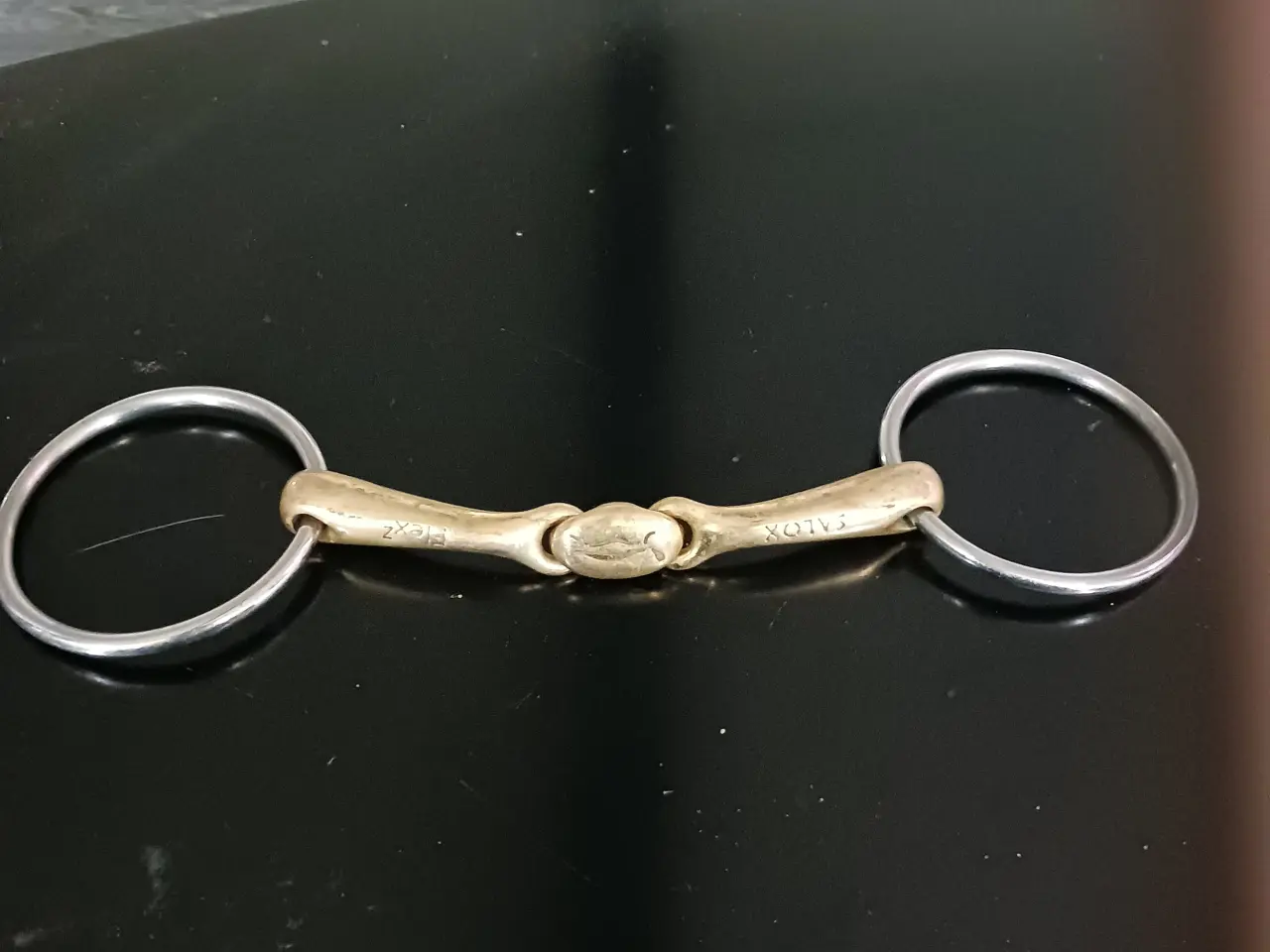 Billede 1 - Neue schule turtle top