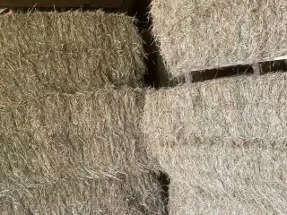 Hø