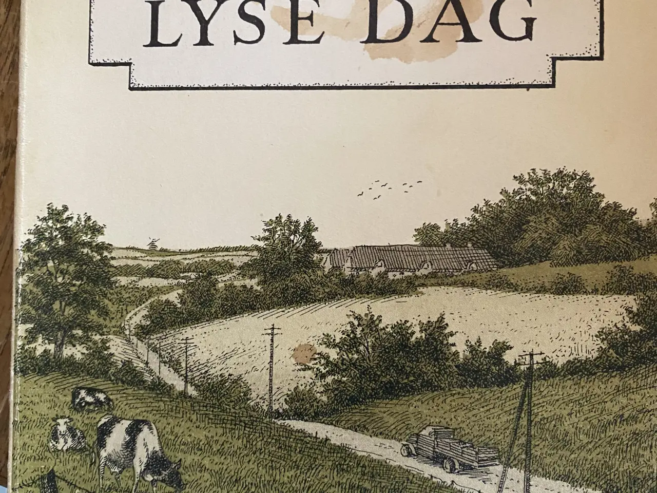 Billede 1 - Lars Nielsen