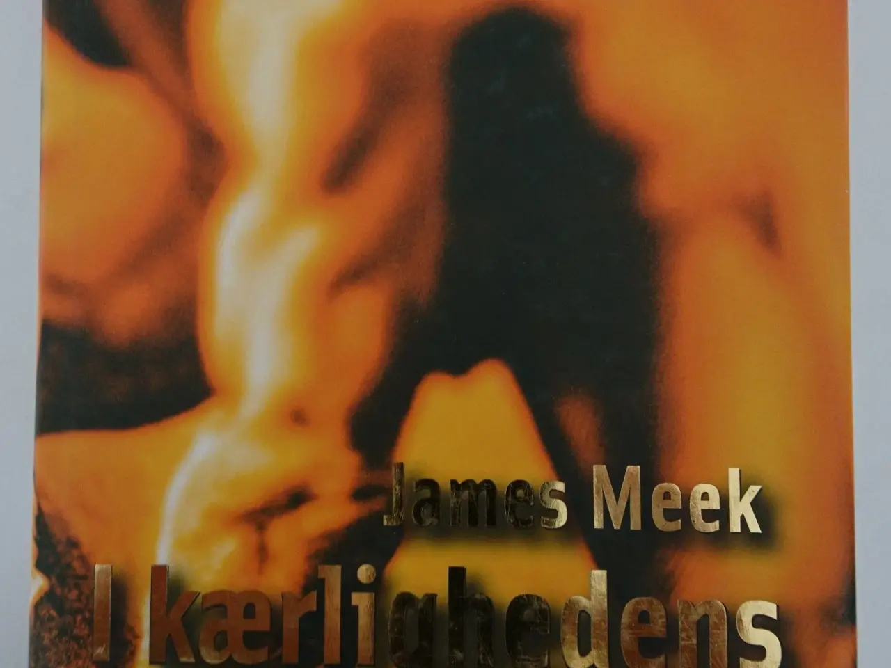 Billede 1 - I kærlighedens navn Af James Meek