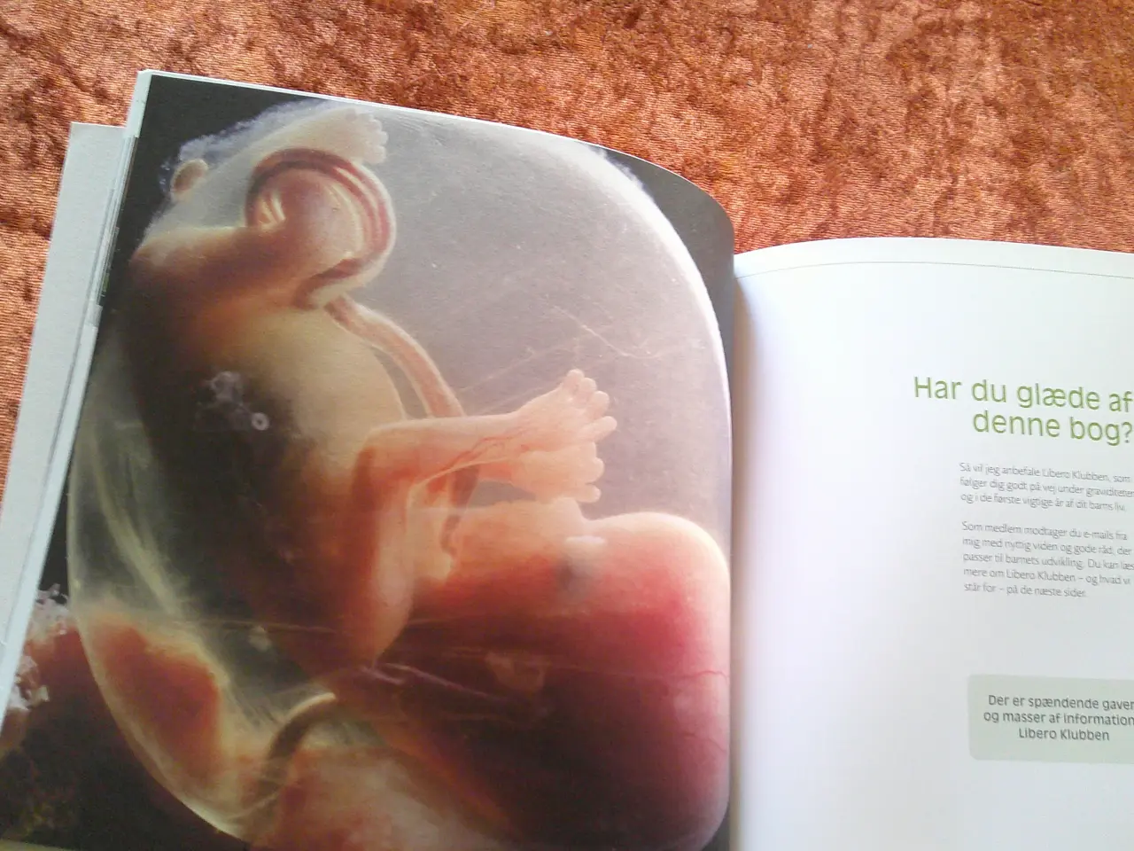 Billede 3 - Gravid første gang, Ulla Rode m.fl,