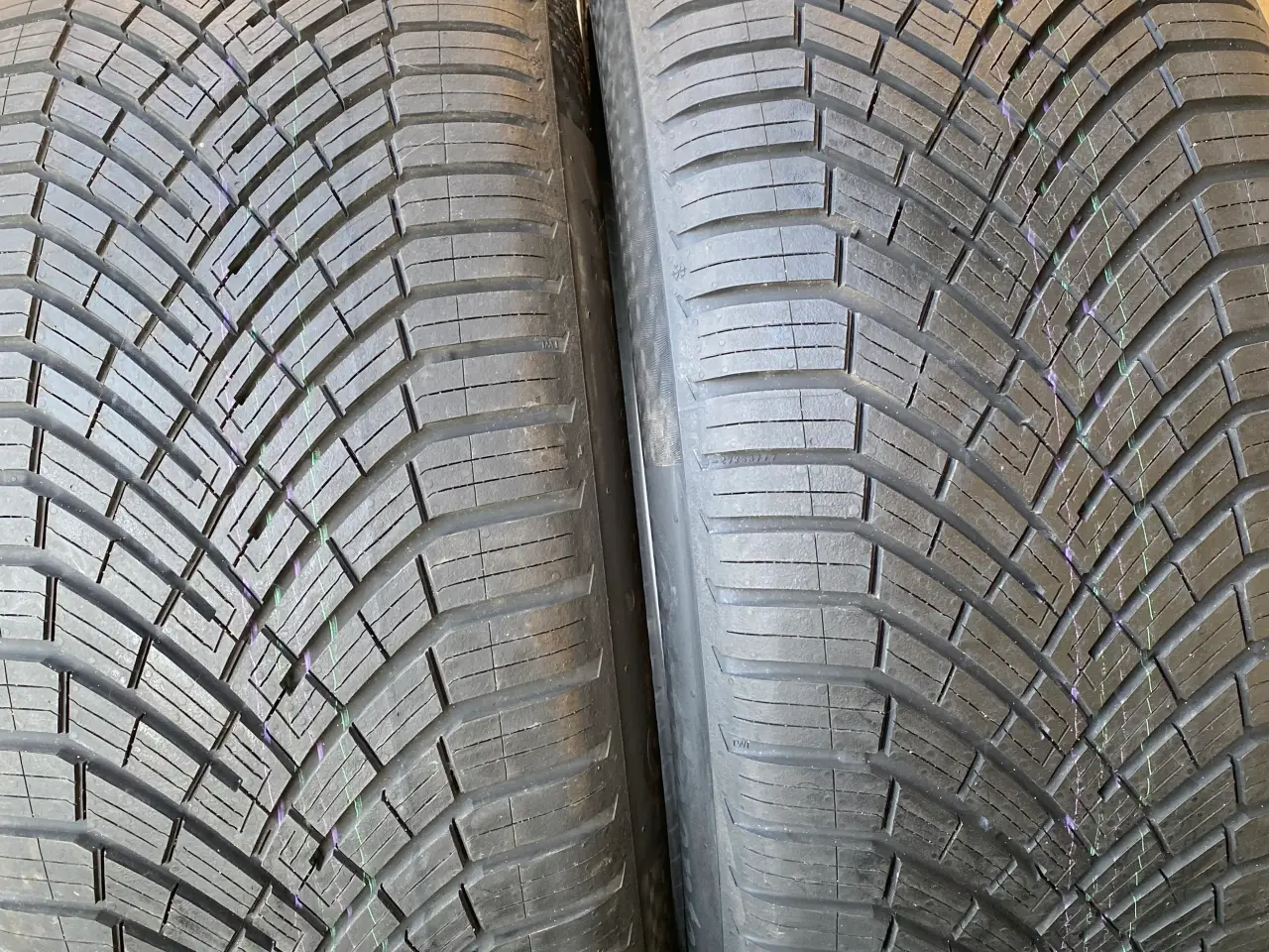 Billede 5 - 20” ID Buzz Helårs Continental 
