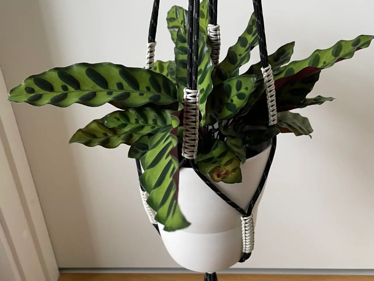Billede 1 - Hay planteholder sort