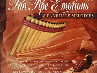 Unknown Artist – Pan Pipe Emotions / Pan… – 2CD
