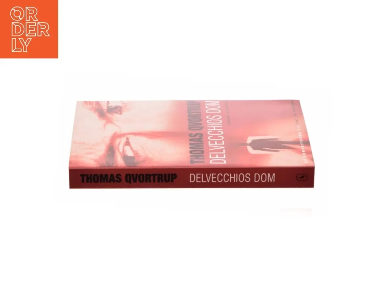 Billede 3 - Delvecchios dom af Thomas Qvortrup (Bog)