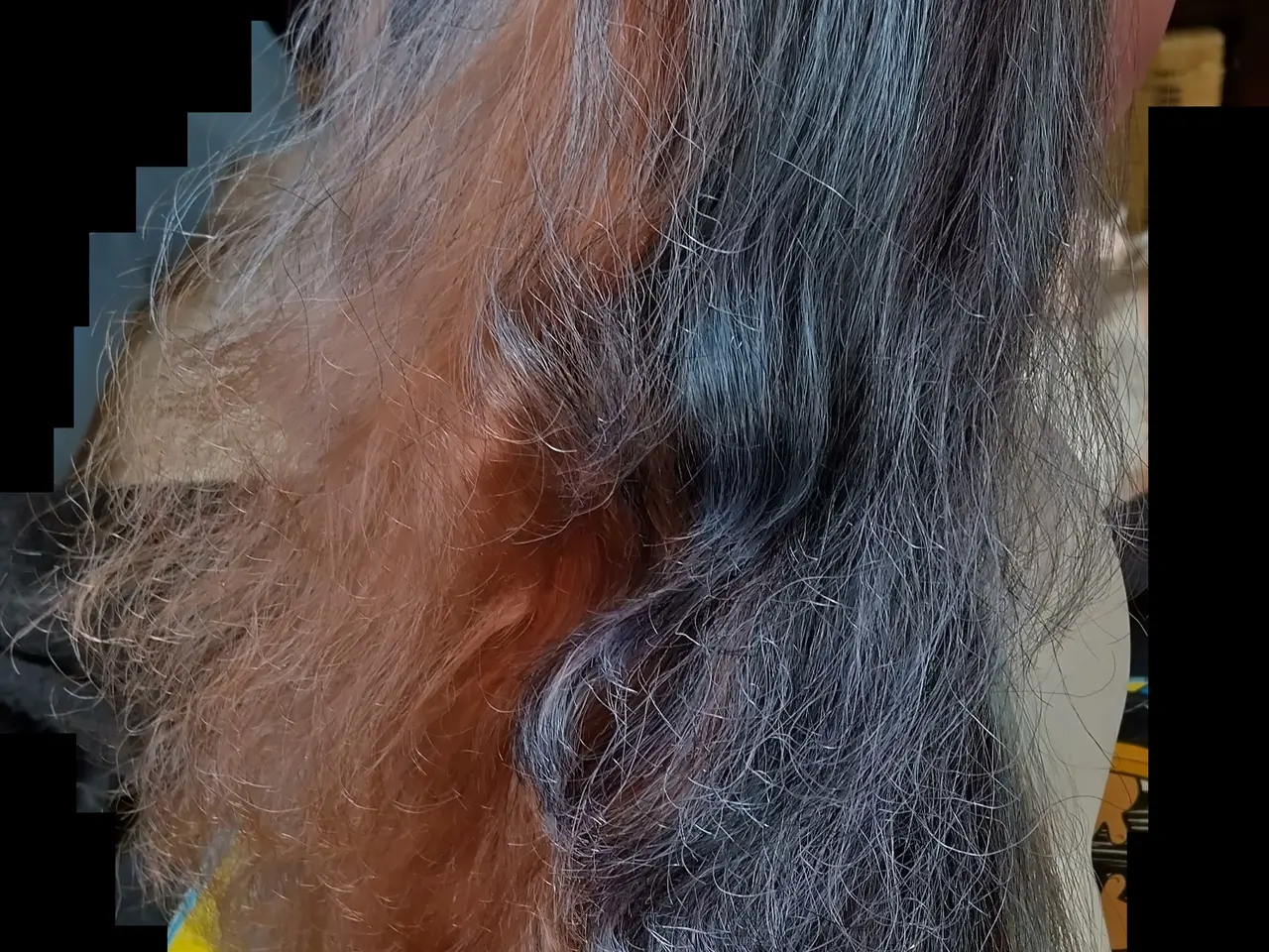 Billede 13 - 26 x Bratz dukker,10 Bratz Heste + tilbehør