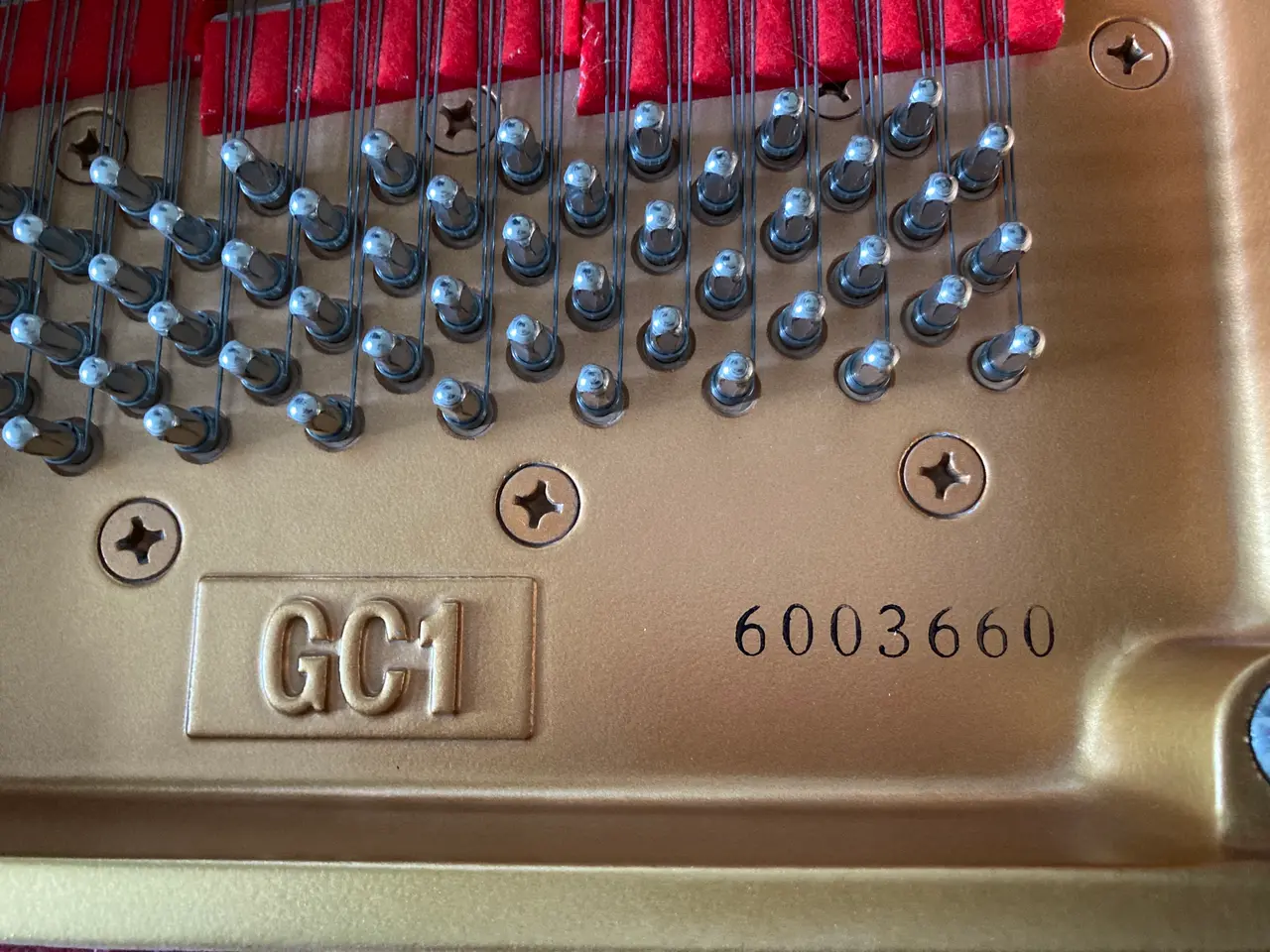 Billede 8 - SÆRDELES VELHOLDT YAMAHA GC1 FLYGEL (2002/03)