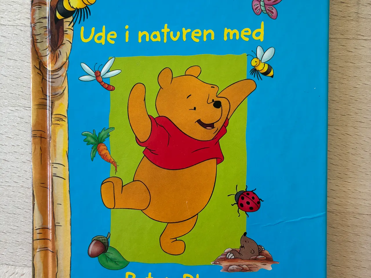 Billede 1 - Ud i naturen med Peter Plys, Disney's