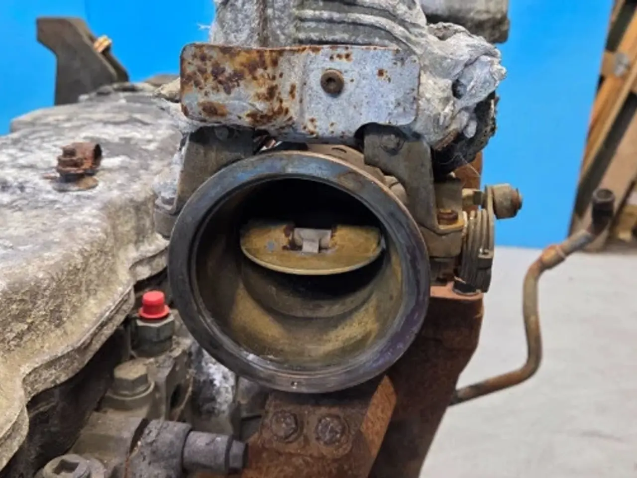 Billede 5 - Iveco F4DGE614H Motor 51693360