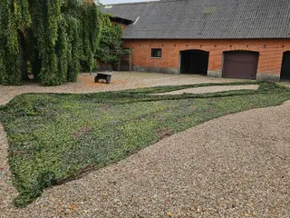 Camonet sælges.
