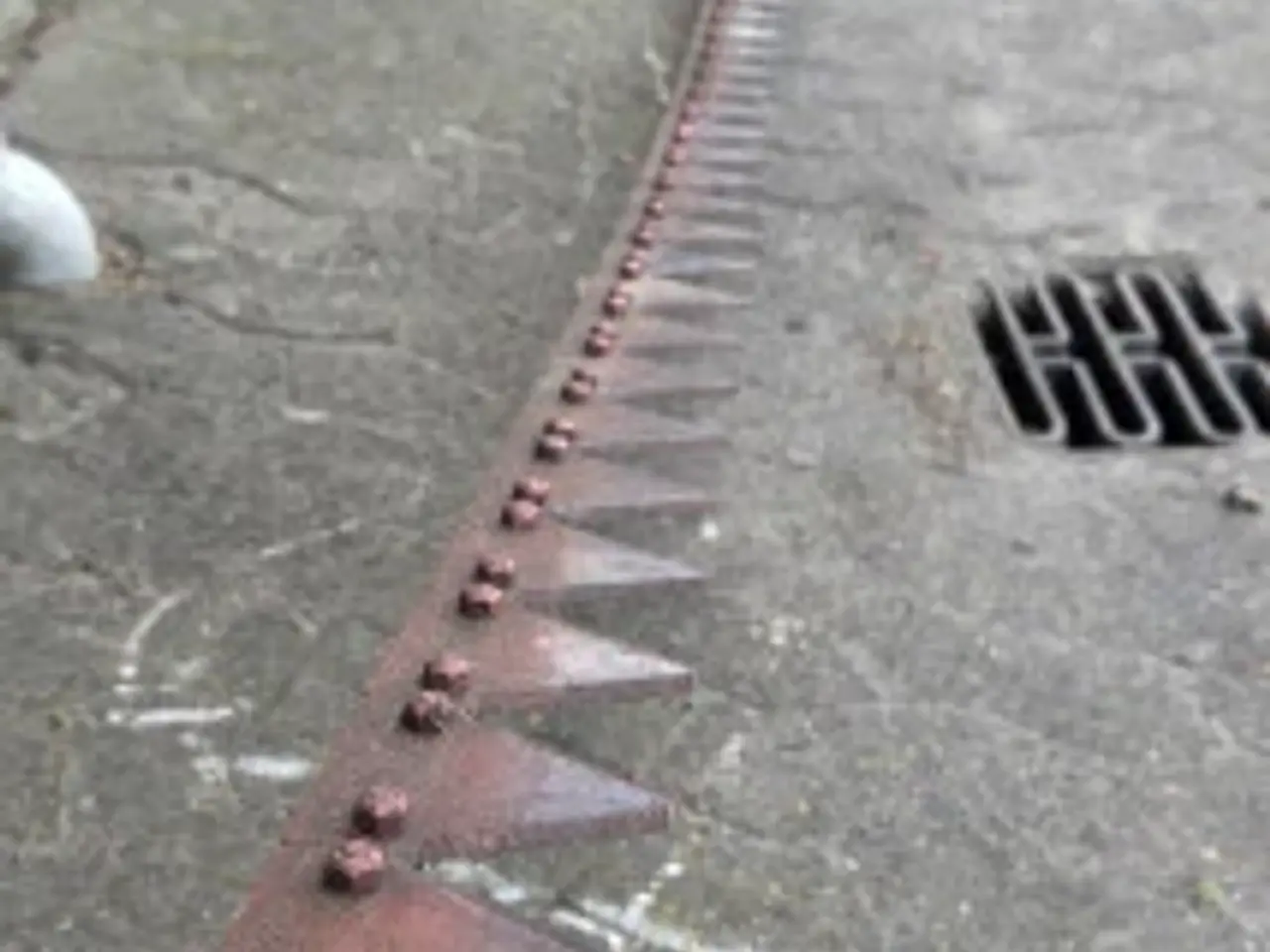 Billede 4 - Claas Knivassy Segment 0005234690