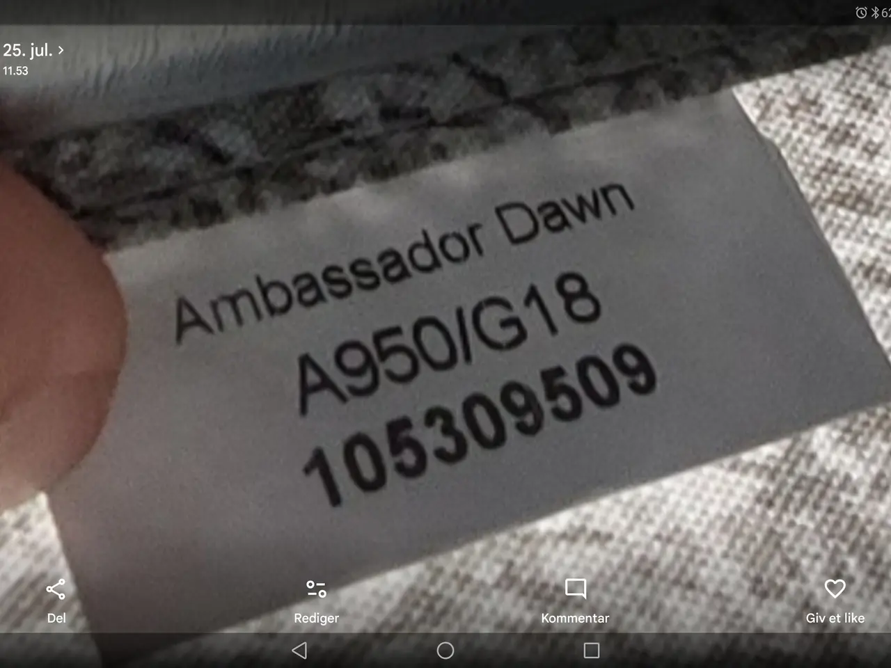Billede 3 - Issabella Ambassador Dawn fortelt til salg Pæn og