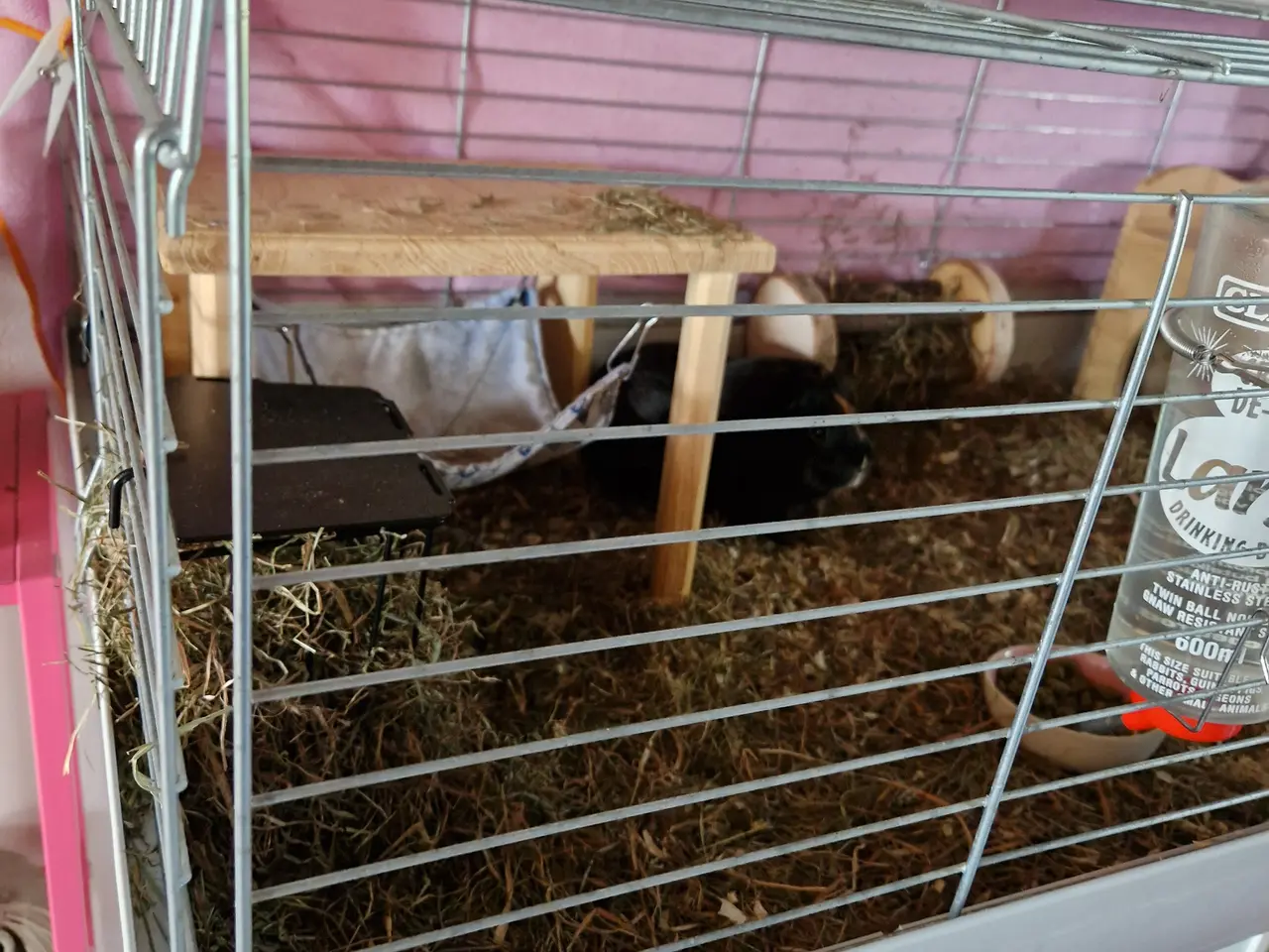 Billede 7 - 2 skønne piger på 1,5 år sælges.