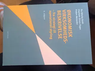 Studie bog økonomisk virmsomhedsbeskrivelse