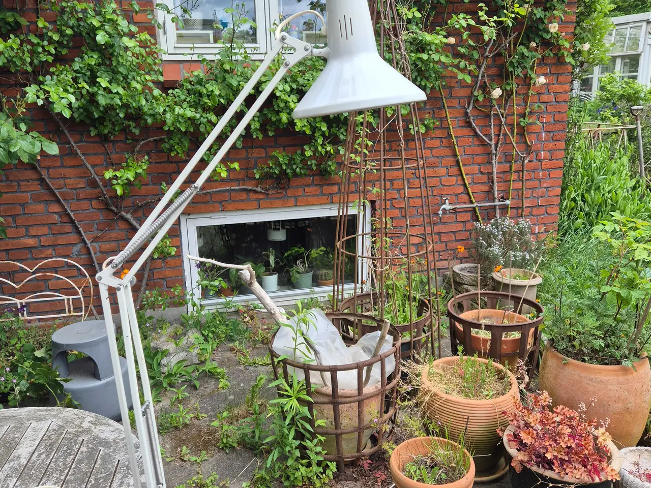 Billede 13 - Klassisk langarmet arkitektlampe fra Luxo