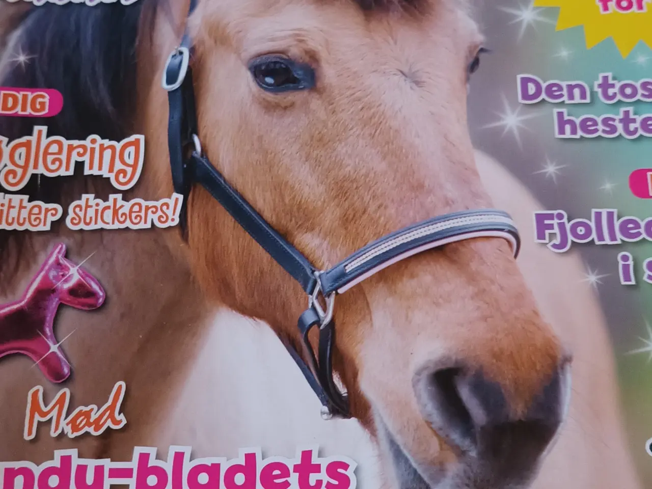 Billede 3 - Wendy Blad. Nr 1. ps sender ikke