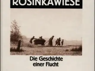 Fern von der Rosinkawiese