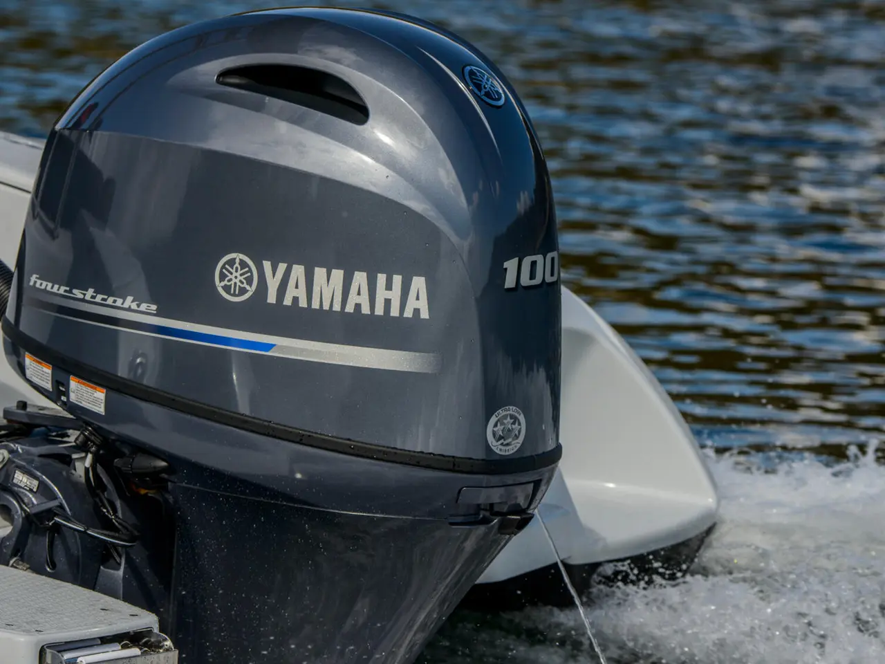 Billede 6 - Yamaha F100LB