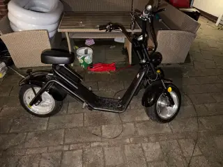 Citycoco Electric Scooter  Adult 2 Wheel Citycoco 