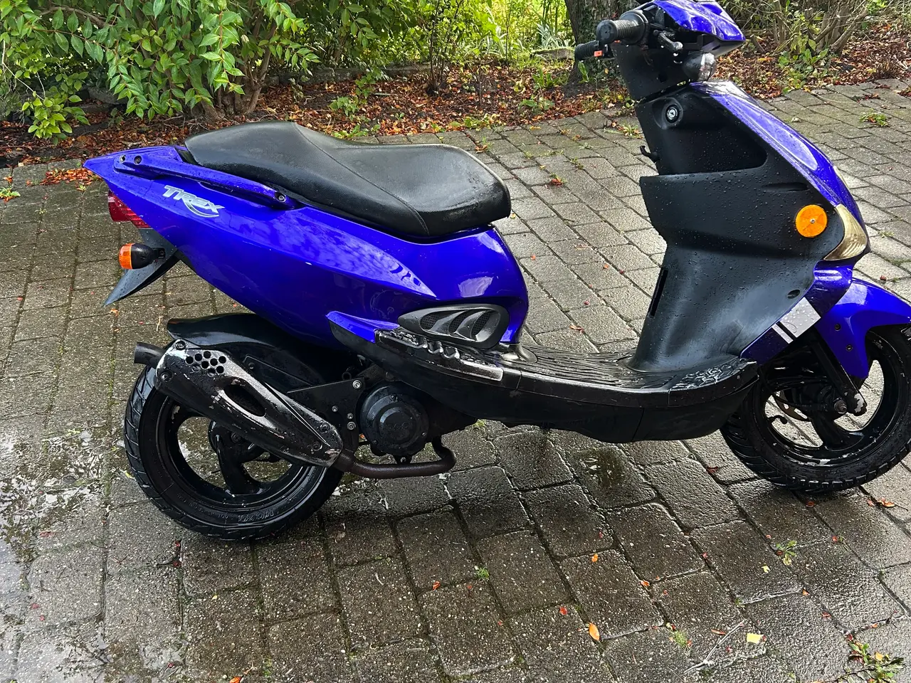 Billede 2 - Pgo trex fra 2011