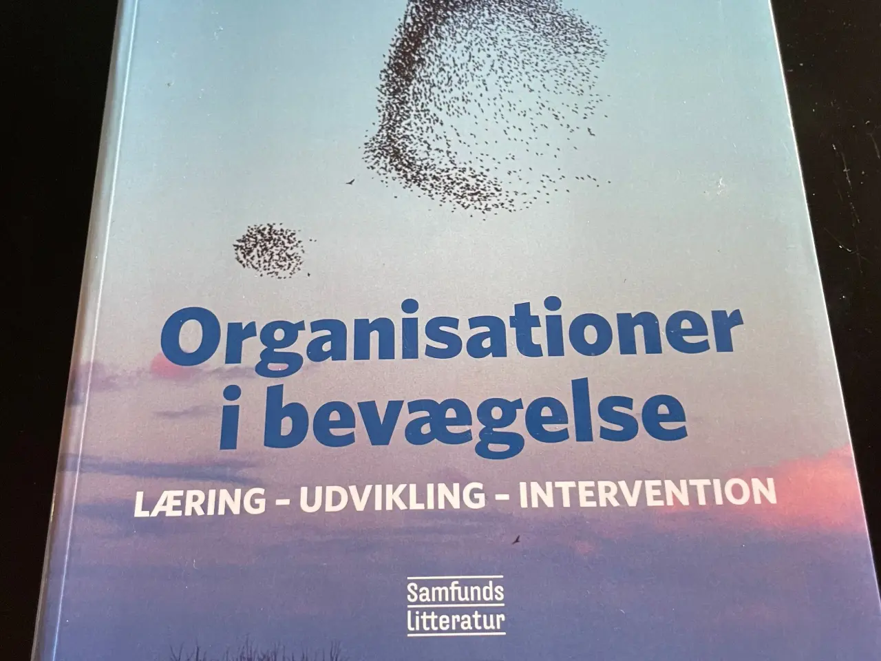 Billede 1 - Organisationer i bevægelse