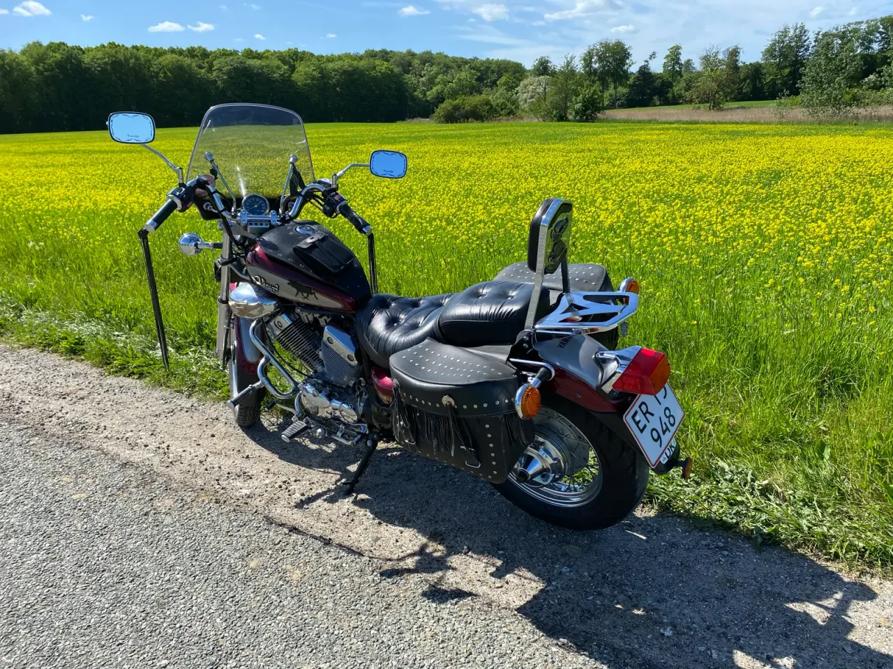 Billede 5 - Yamaha Virago xv 535