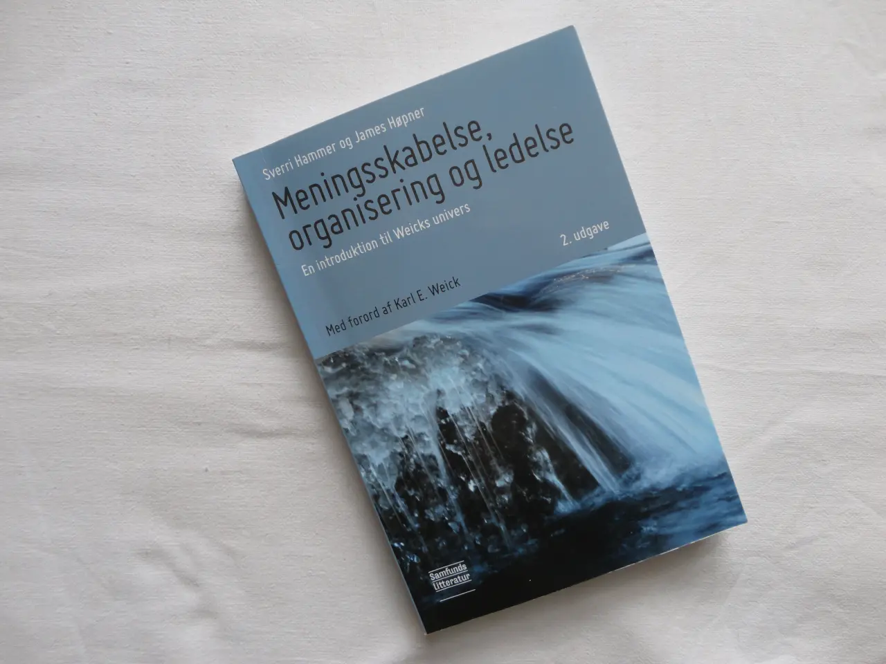 Billede 1 - Meningsskabelse, organisering og ledelse :