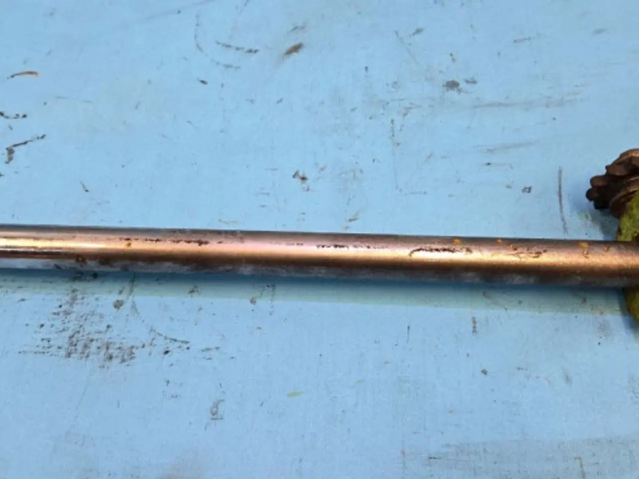 Billede 5 - Claas Jaguar 850 Cylinder 9878592