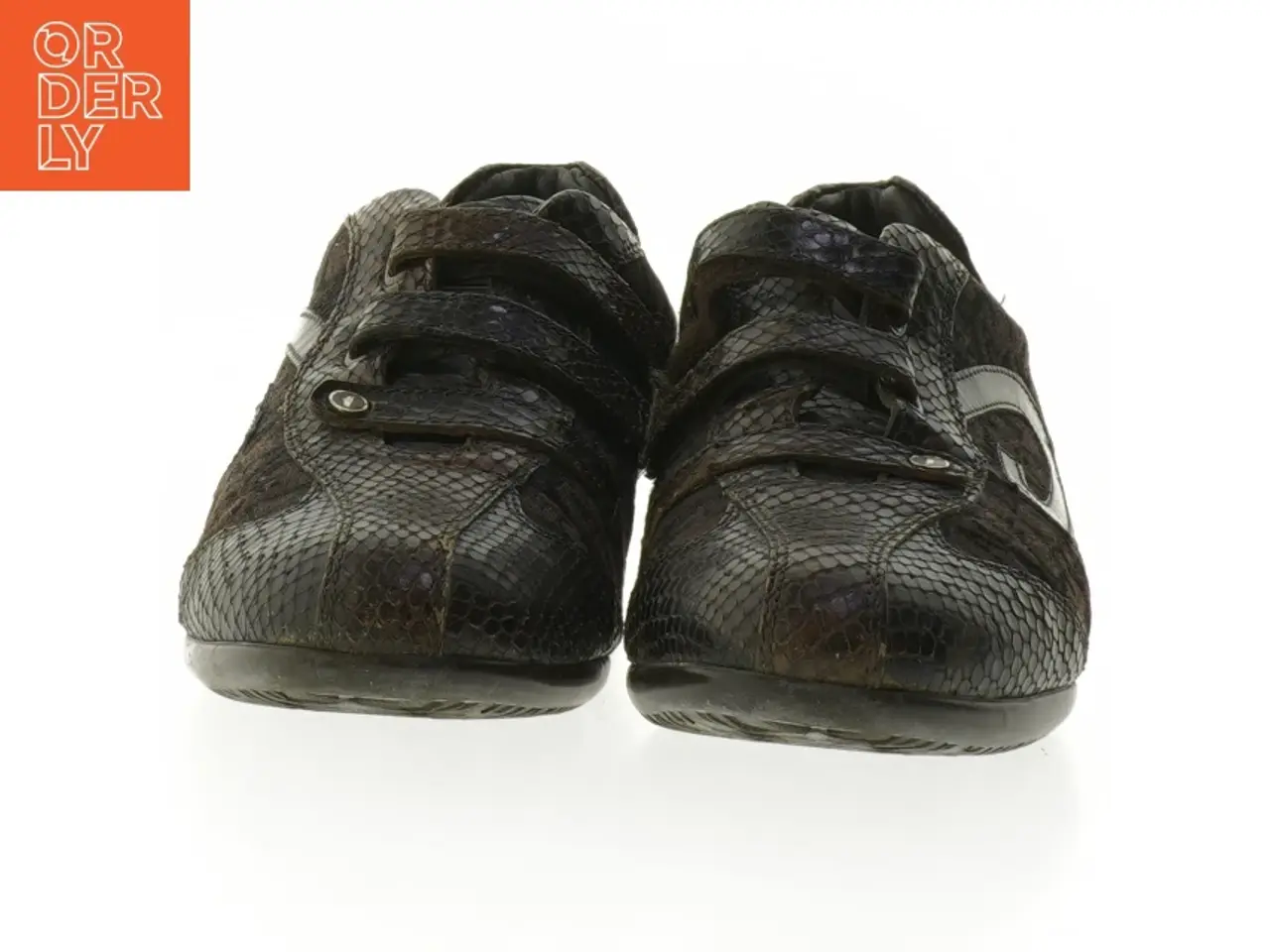 Billede 3 - Alberto Guardiani sneakers fra Alberto Guardiani (str. 38 )