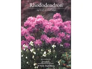 Rhododendron - og hvad der dermed følger...
