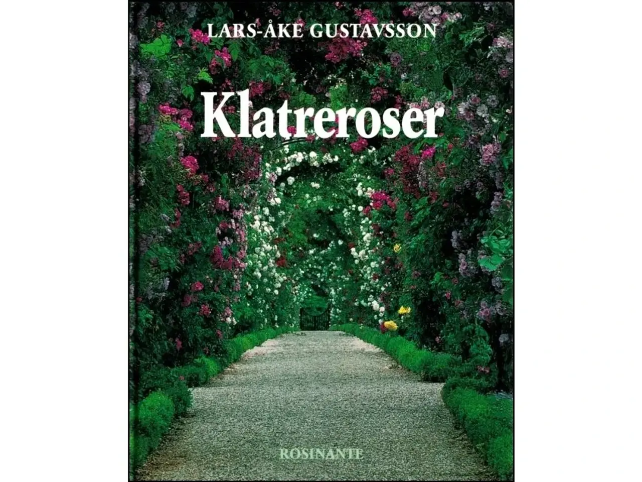 Billede 1 - Klatreroser