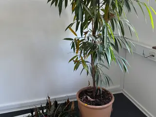 2 stk. Planter m. Potte
