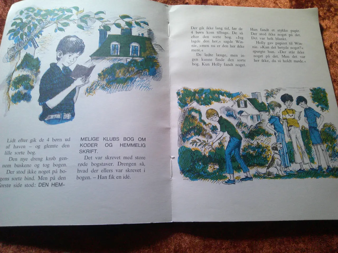 Billede 3 - Den hemmelige skrift, Barbara Rinkoff,
